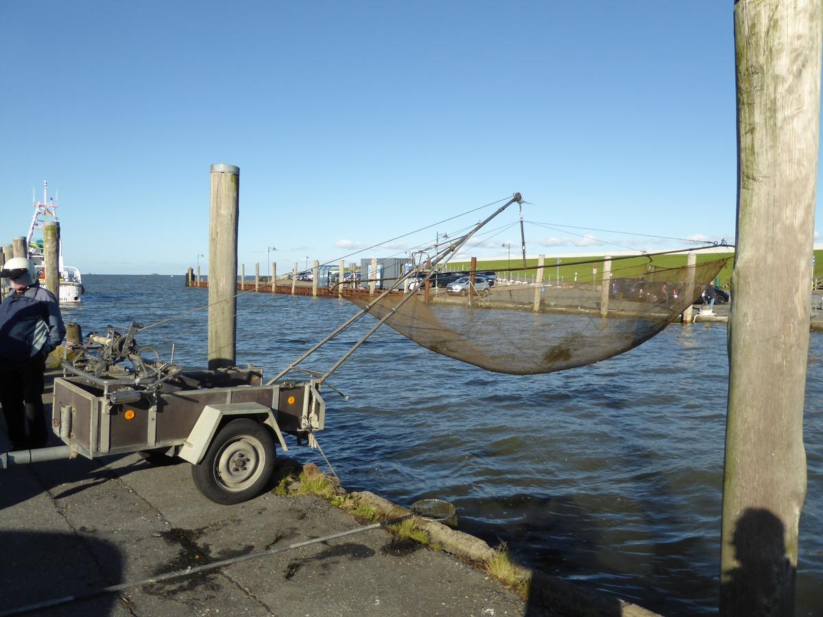 Ferienwohnungen Im Osterkoog Nordstrand Bagian luar foto